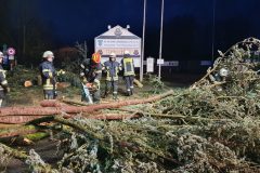 Orkan Sabine - Mehrere Bäume in Alter Mainzer Landstraße