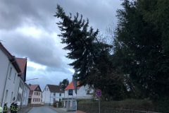 Orkan Sabine - Baum in Schräglage (Ringstraße)