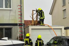 IMG_6841