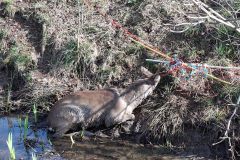 235d9427-03ab-4891-9e37-03af723eda8b