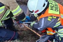 ab3e981f-3154-4acd-b894-b1a75e8ceea9