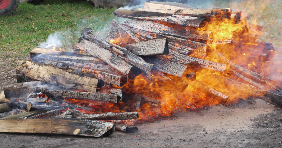 Feuer Lakefleisch 2020